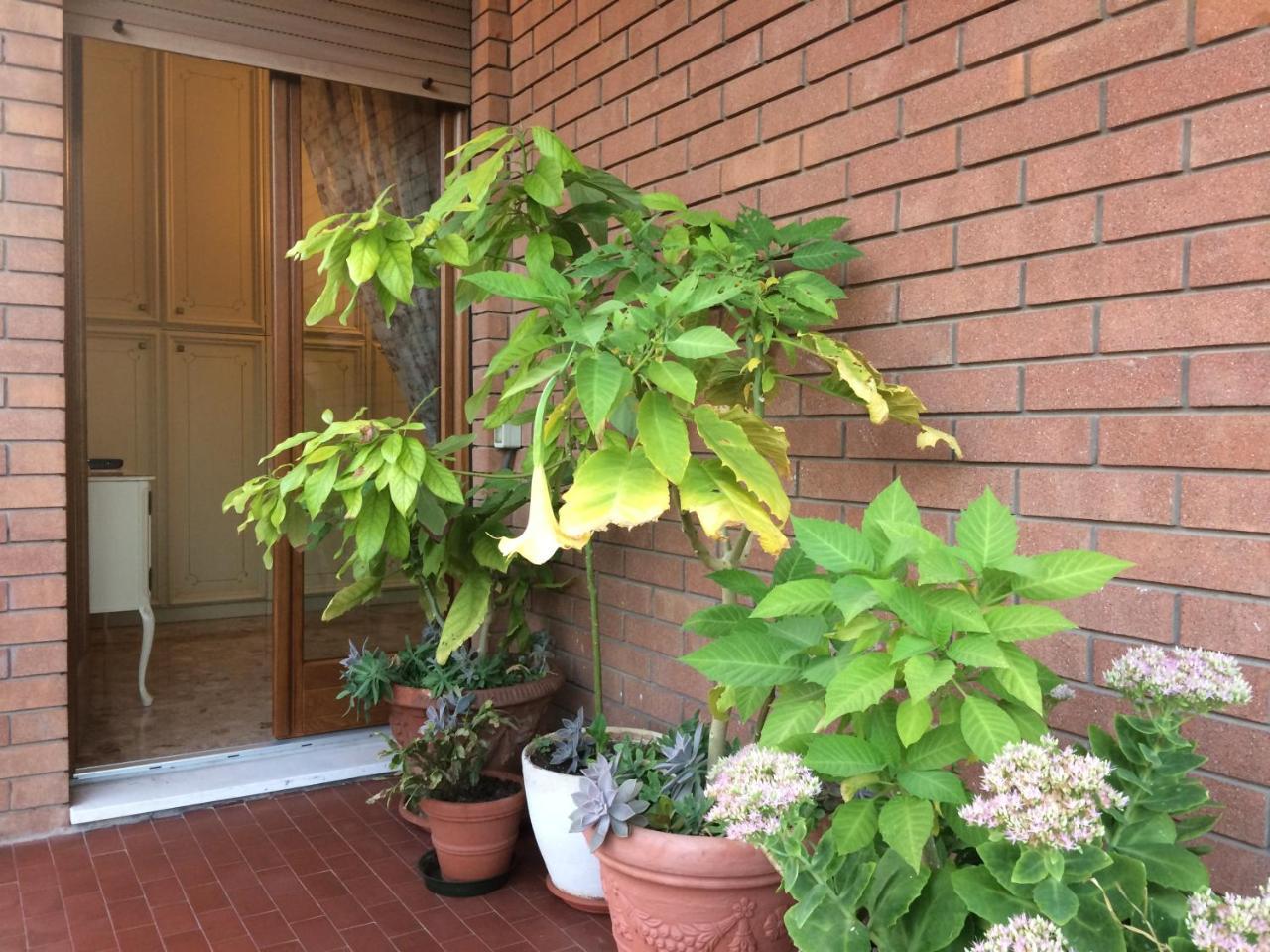B&B Pergolesi Werona Zewnętrze zdjęcie